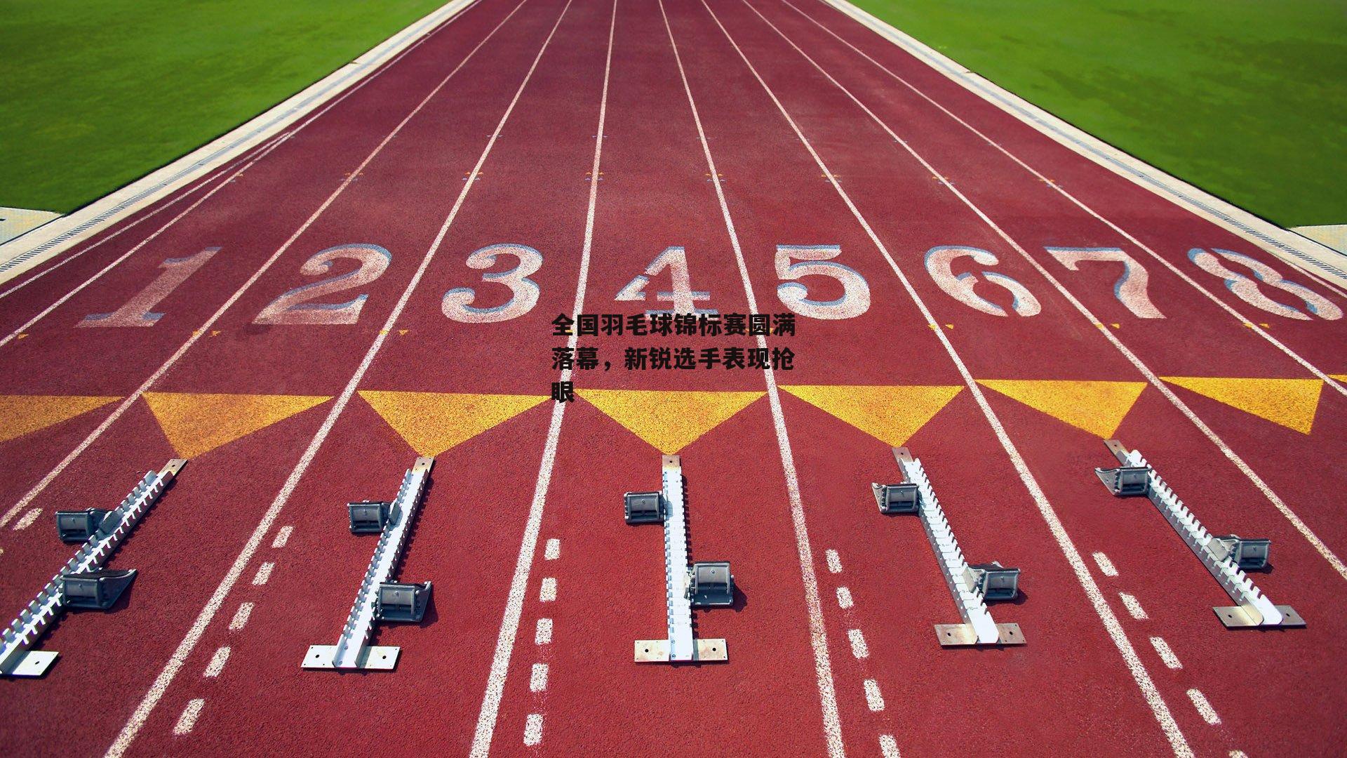 全国羽毛球锦标赛圆满落幕,新锐选手表现抢眼